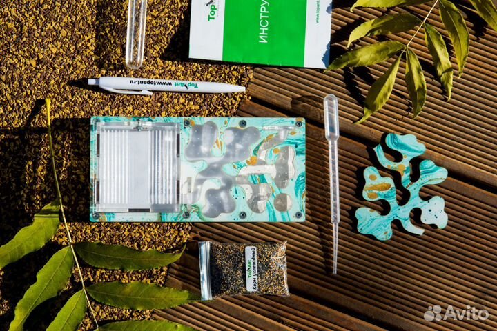 Муравьиная ферма