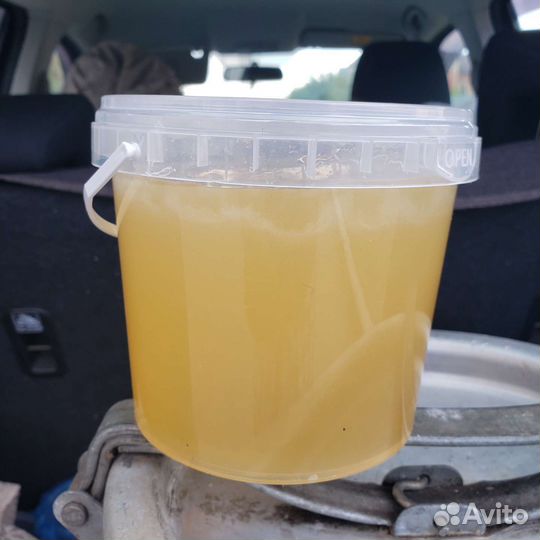 Мед натуральный местный