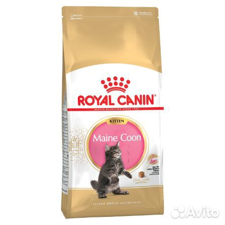 Корм для котят Royal canin maine coon kitten 4 кг