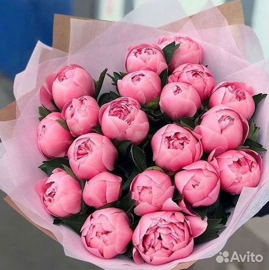 Пионы Букеты Цветы Доставка