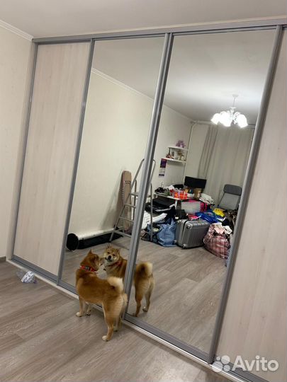 Шкафы купе на заказ