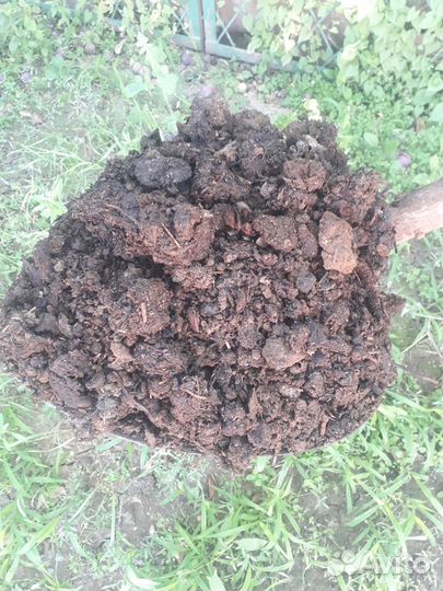 Перегной в мешках и насыпью