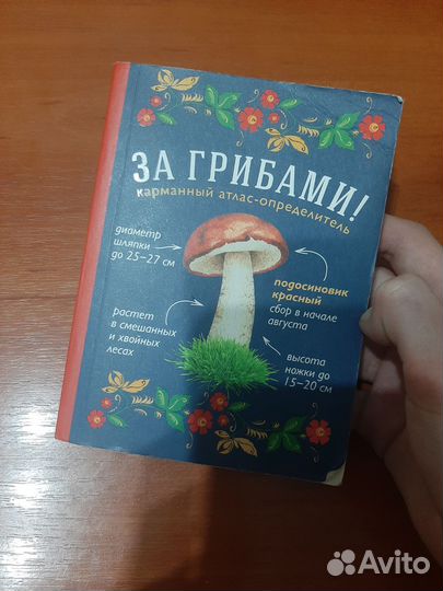 Книга про грибы