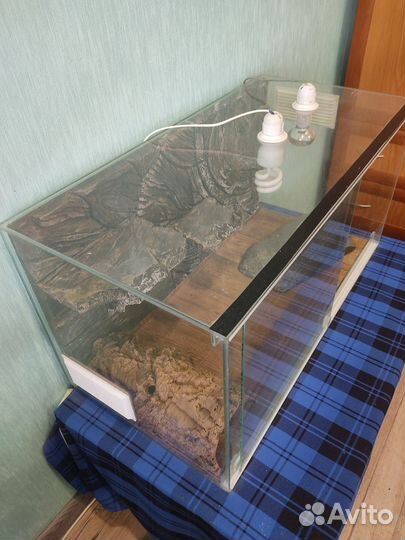 Террариум для рептилий бу