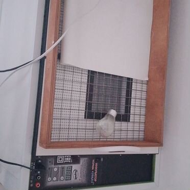 Продам инкубатор