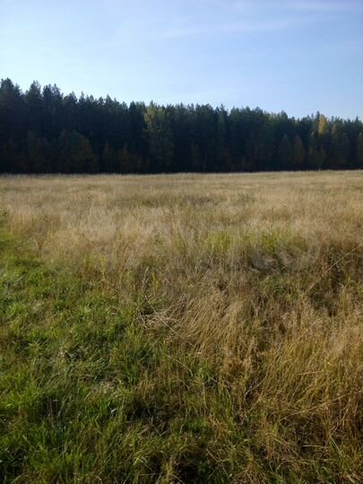 Участок 2 га (СНТ, ДНП)