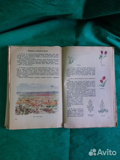 Природоведение автор Скаткин четвёртый класс