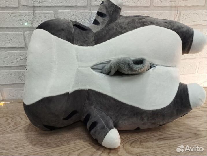 Кот Фараон с пледом