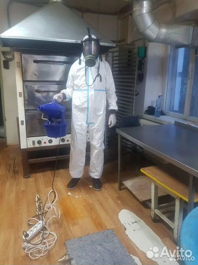 Дезинсекция и дезинфекция в Барнауле