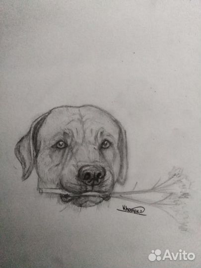 Портреты питомцев на заказ