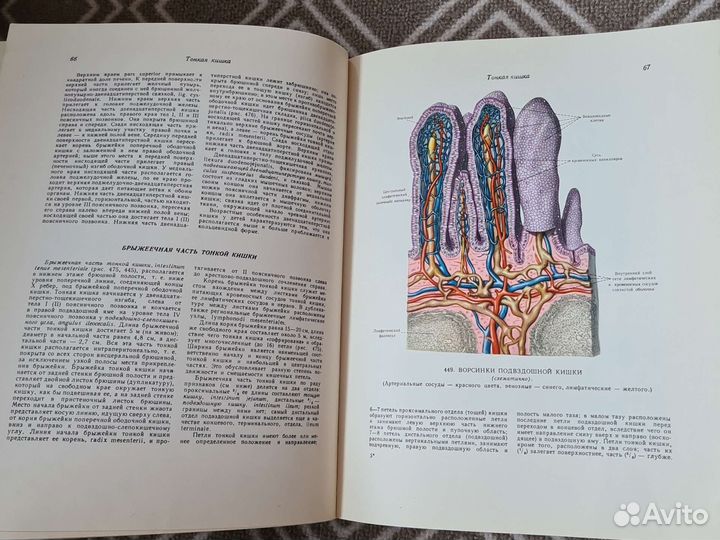 Атлас анатомии человека Синельников