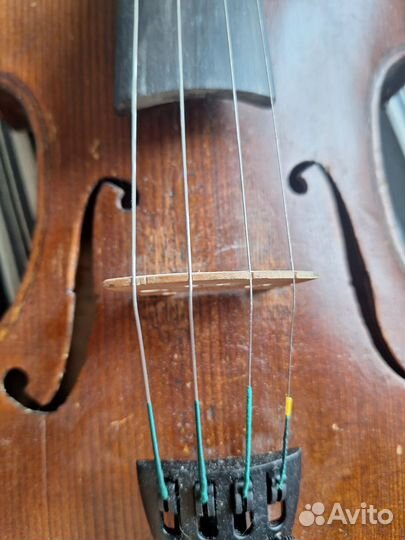 Скрипка целая