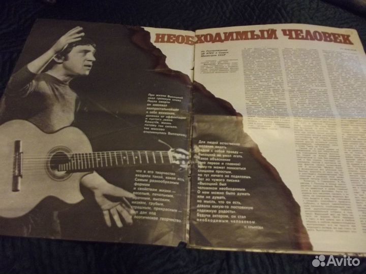 Высоцкий.Журнал 