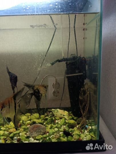 Аквариум