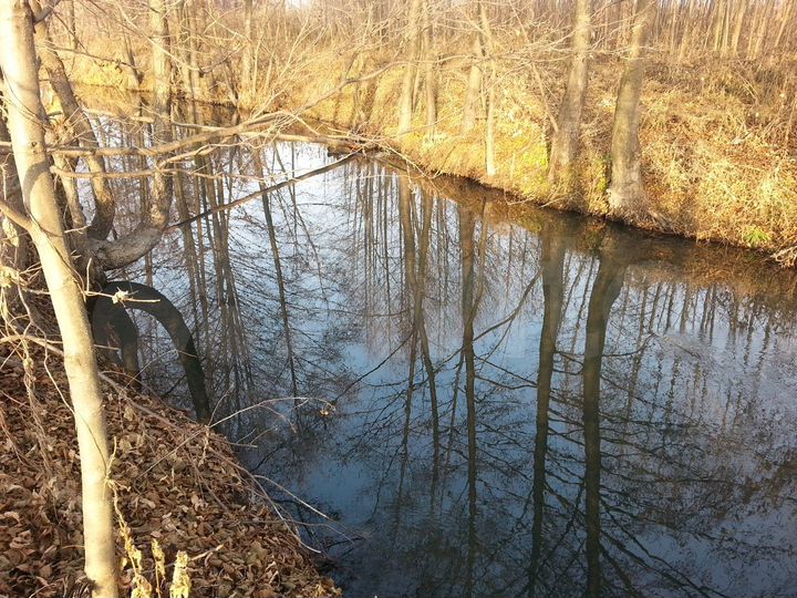 Участок 5 га (ИЖС)