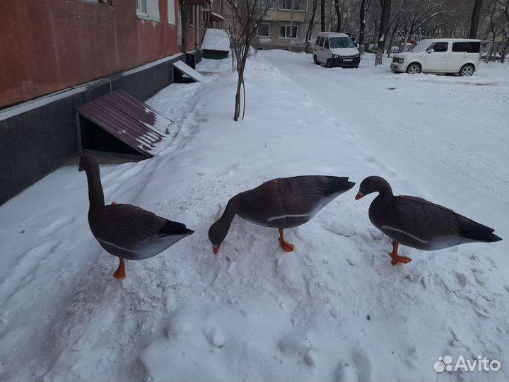 Чучела гусей комплект 15шт