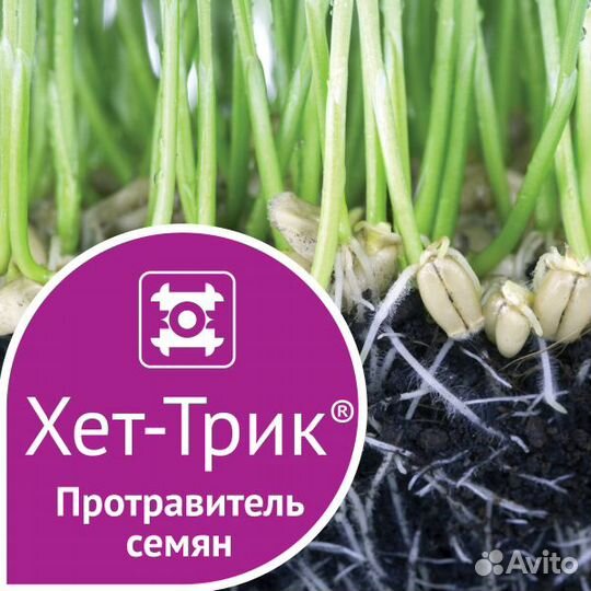 Инсекто фунгицидный протравитель Хет - Трик