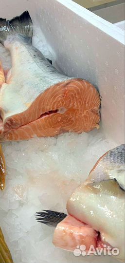 Рыба Лосось, Семга, Чавыча