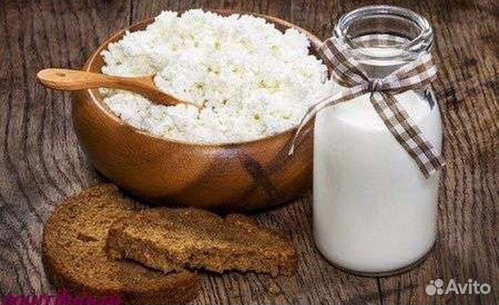 Домашний творог