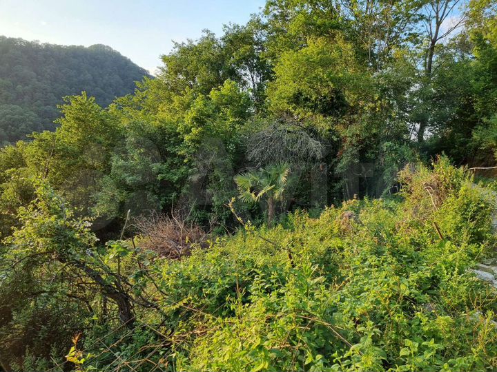 Участок 3,6 сот. (СНТ, ДНП)