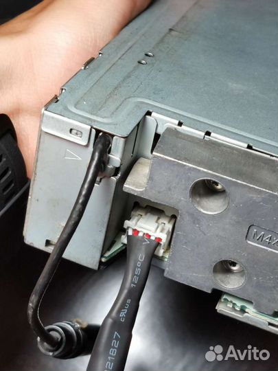 Тюльпаны RCA Pioneer