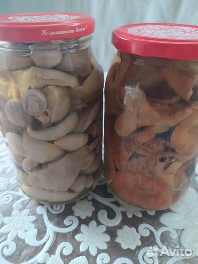 Семена Дыни Хандалляк