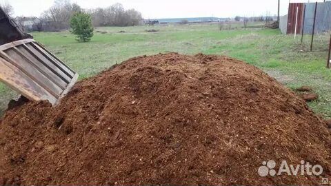 Перегной коровяк