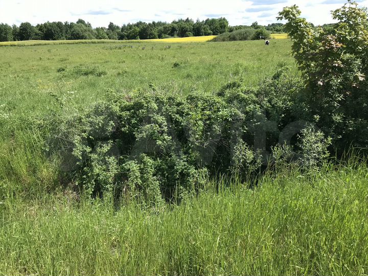 Участок 3,35 га (промназначения)