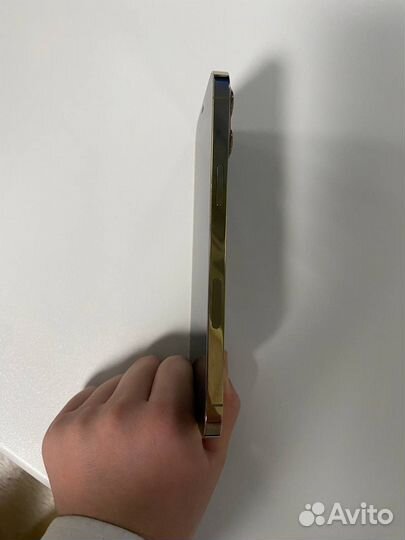 iPhone 12 Pro Max, 256 ГБ