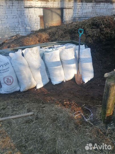 Конский навоз напрямую