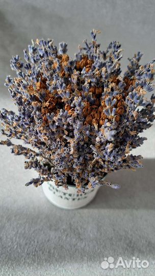 Кашпо с лавандой