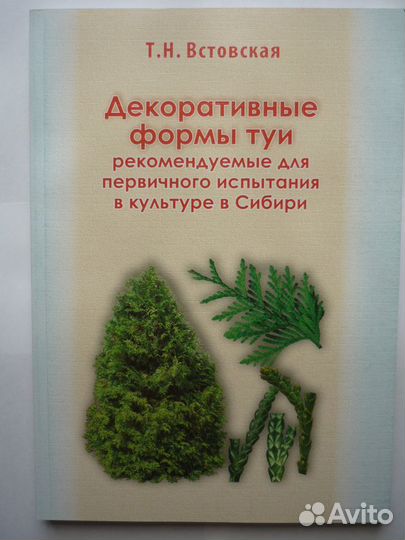 Т.Н. Встовская Декоративные формы клена рекоменду