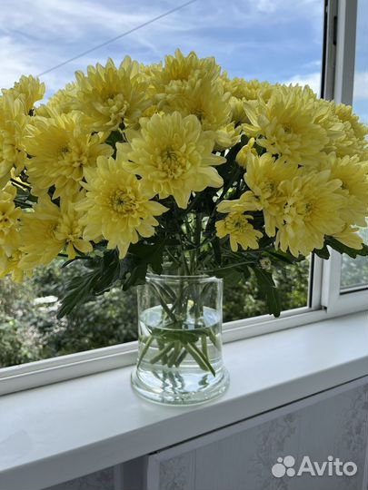 Банка для интерьера флорариум