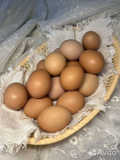 Яйца домашние куриные и перепелиные