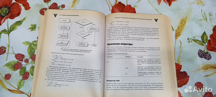 C++ Основы программирования Самоучитель Джефф Кент