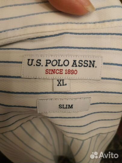 Рубашка мужская U.S. polo assn