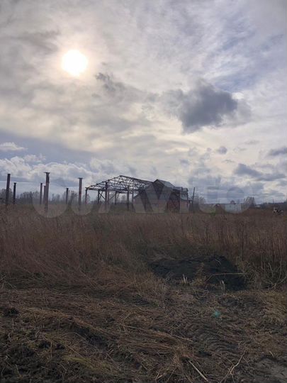 Свободного назначения, 1200 м²