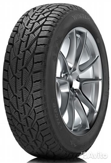 Tigar Winter 195/55 R16