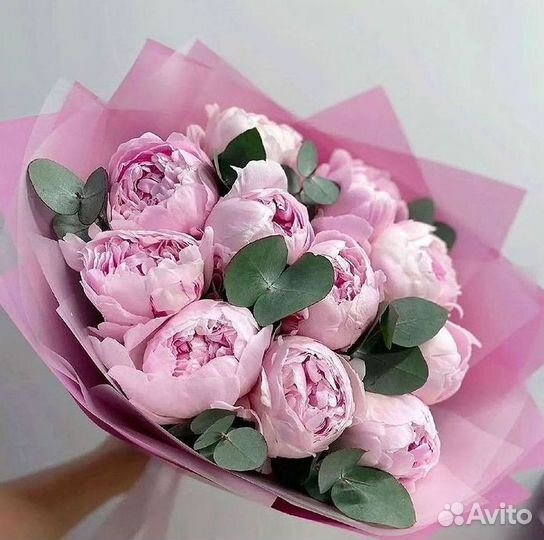 Пионы Розы Доставка