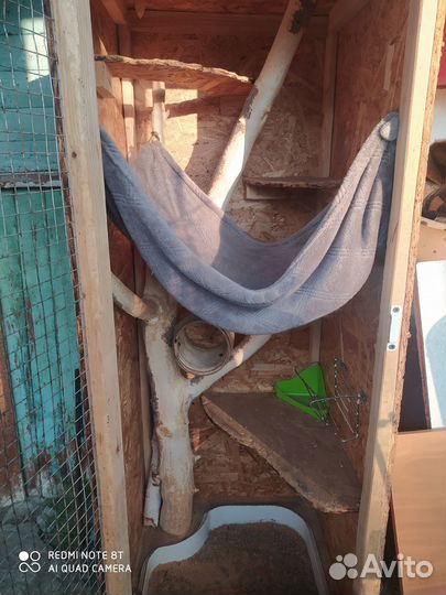 Витрина для шиншилл