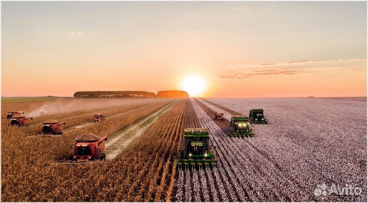 Инвестиции в сельское хозяйство, пассивный доход