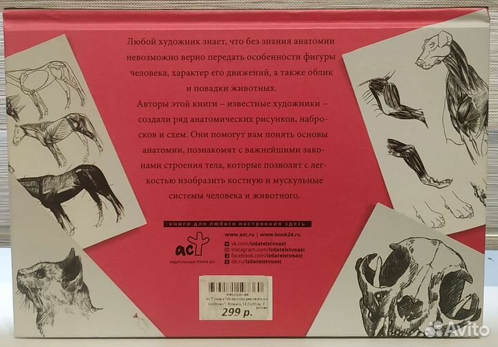 Альбом для скетчинга по анатомии и творческий курс