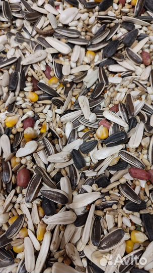 Корм для крупных и средних попугаев