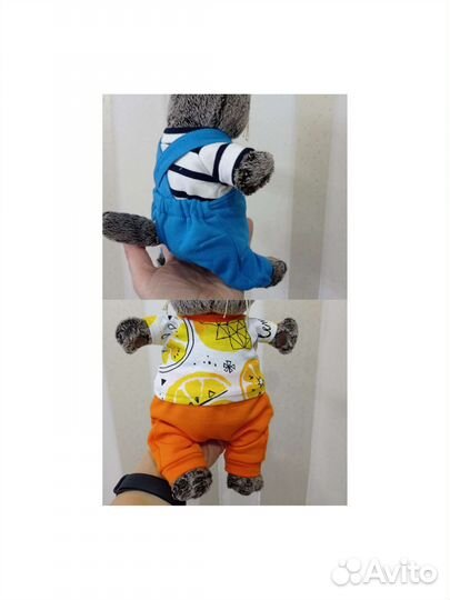 Одежда для басика