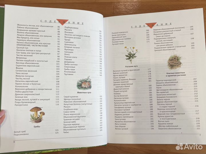 Большой атлас природы России