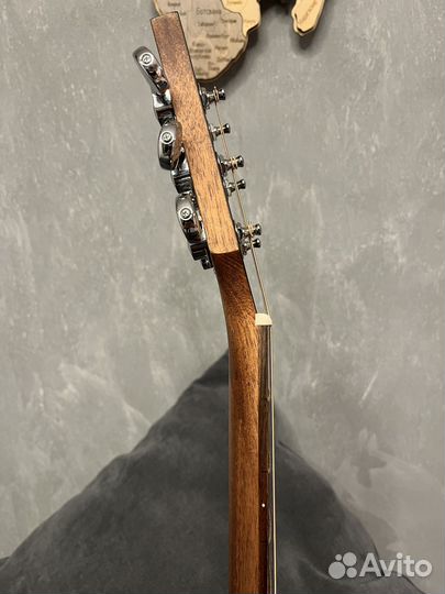 Акустическая гитара Parkwood S22M-NS