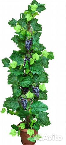 Искусственная виноградная лоза