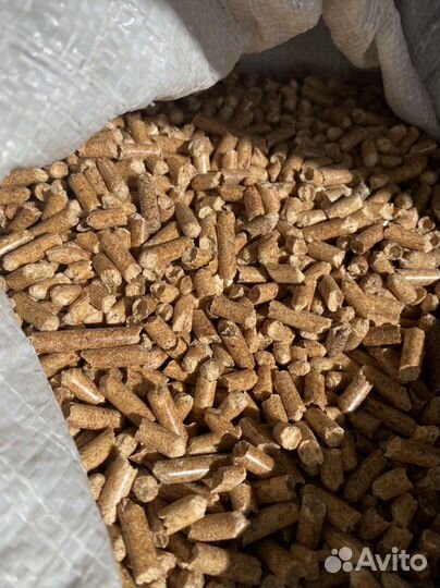 Наполнитель для кошачьего туалета