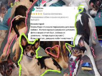 фото бежицкой районной администрации. семейная клиника брянск бежицкий район. ульяново 4 семейная клиника брянск. работа бежицком районе без опыта. брянск ул плодородная 17.