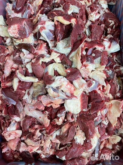 Мясо говядина